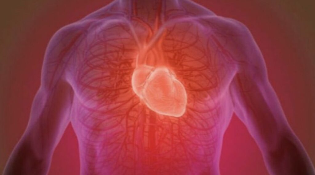 Mengapa Polusi Udara Jadi Anda Memiliki Jantung yang Rusak