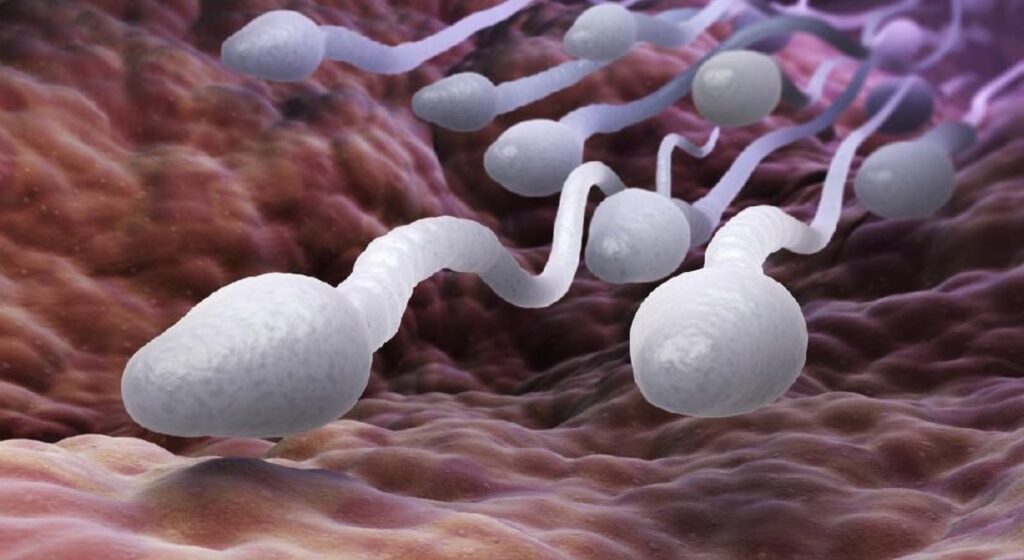 Stop Mitos! Minum Soda Bikin Sperma Encer Cari Tahu Fakta Promilnya