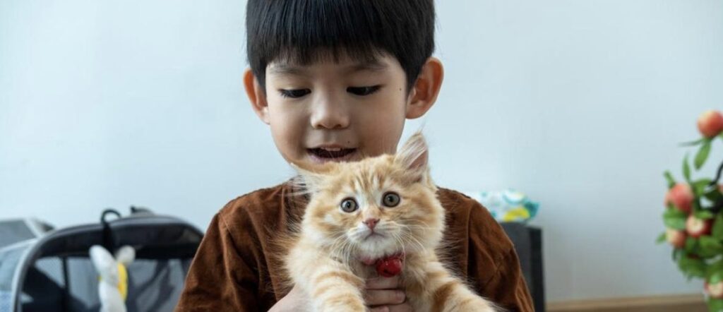 Bolehkah Anak Asma Memelihara Kucing Ini 2 Faktanya