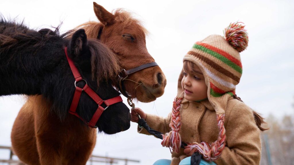 Cara kerja terapi kuda hippotherapy bagi anak autis