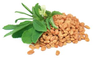 Herbal Diabetes Ampuh - Fenugreek (Trigonella foenum-graecum)