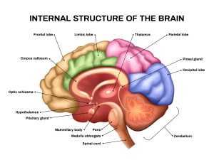 Para Orang Tua Wajib Tau Penyebab Anak ADHD dan Pengobatannya