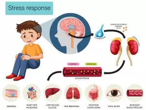 Fakta Mengejutkan, Ternyata Ada Hubungan Emosi dengan Kesehatan Organ Tubuh