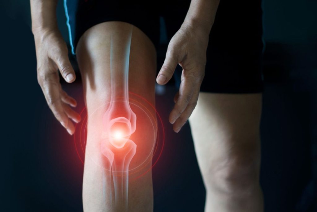 The current image has no alternative text. The file name is: 61656b9ebc2cb-e1753176532612.jpg